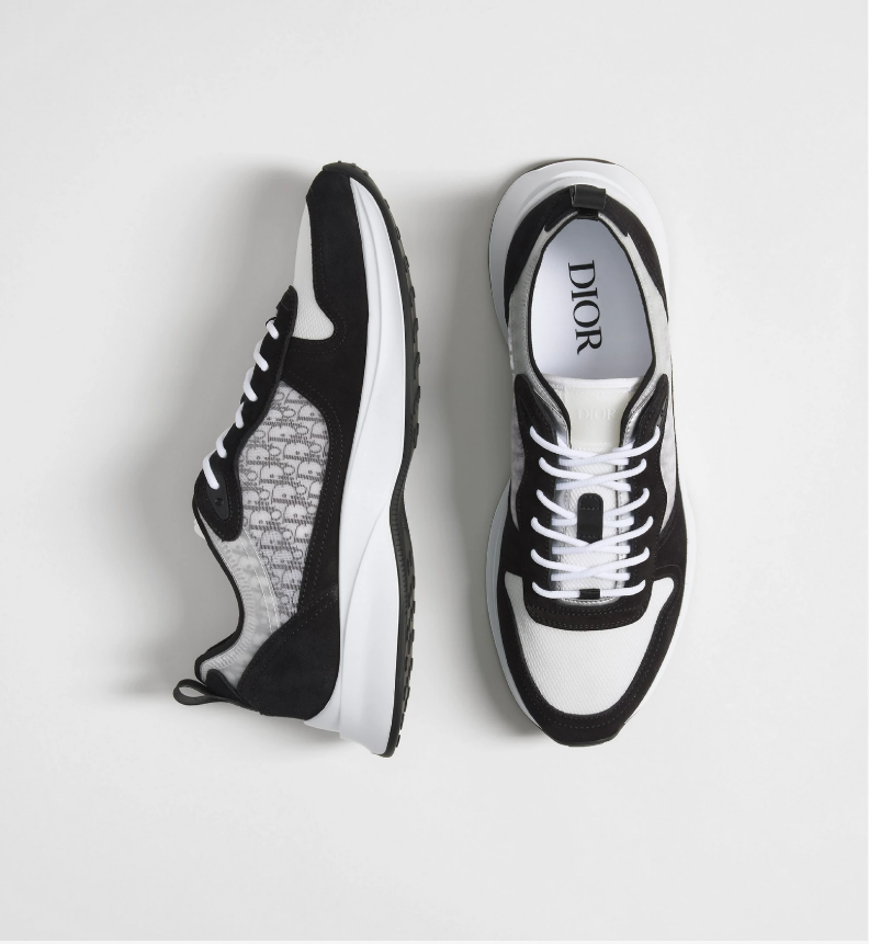 Dior B25